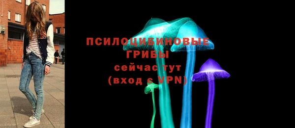 2c-b Козельск