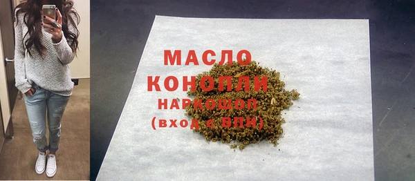 молекула духа Козловка